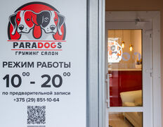 Груминг-салон ParaDogs (ПараДогс), Галерея - фото 17