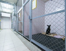 null Гостиница для животных с ветеринарными услугами, Интерьер - фото 18