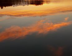 null Коттедж на озере Должа, Пейзажи - фото 6