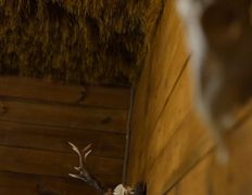 Магазин-клуб настольных игр Место путешествия, Таверна - фото 7