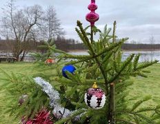 null Коттедж на озере Должа, Новый год 2026 - фото 8