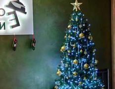 Современная столовая Неправильное питание, Интерьер - фото 3