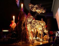 Кафе Jungle Lounge Cafe (Джангл Лаунж Кафе), Новый год 2025 - фото 3