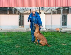 null Гостиница для животных с ветеринарными услугами, Интерьер - фото 6