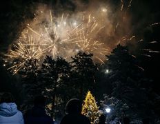 Загородный ресторанный комплекс VILIYA PARK (Вилия Парк), Новый год 2026 - фото 2