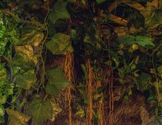 Магазин-клуб настольных игр Место путешествия, Авалон - фото 9