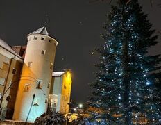 Сауна люкс VIP сауна на Явара и Калины, Интерьер - фото 10