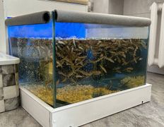 Санаторий Магистральный, Лечение - фото 2