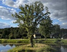 Хутор Кошки-мышки, Территория - фото 9