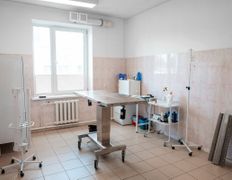 null Гостиница для животных с ветеринарными услугами, Галерея - фото 8
