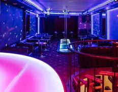 Стриптиз-клуб Night Fantazy (Ночные Фантазии), Интерьер - фото 5