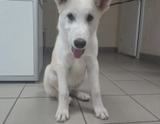 Ветклиника Айдавет, Наши пациенты - фото 7