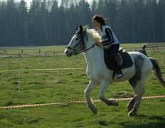 Центр верховой езды Двор Старинки, Соревнования - фото 15