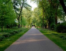 Государственное научное учреждение  Центральный ботанический сад НАН Беларуси, Фотогалерея - фото 4