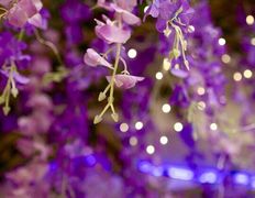 Студия красоты INTUITION (Интуишн), Галерея - фото 7