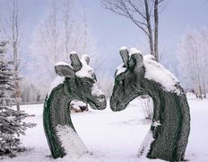 Экопарк Акварель, Территория зимой - фото 4