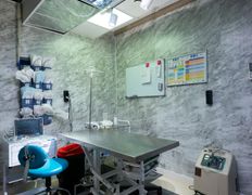 Ветеринарная клиника Белая медведица, Галерея - фото 3