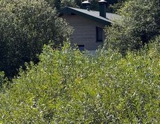 Хутор Кошки-мышки, Территория - фото 12