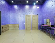 Салон красоты для животных Манифик, Интерьер - фото 13