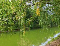 Водохранилище Цнянское, Водохранилище - фото 4