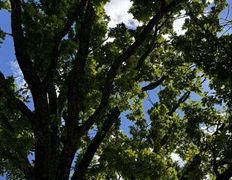 Хутор Кошки-мышки, Территория - фото 18