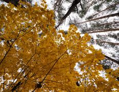 Санаторий Пралеска, Экстерьер  - фото 18