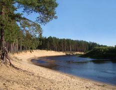 Река Березина, Река - фото 1