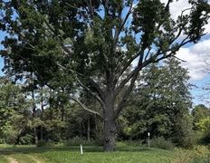 Хутор Кошки-мышки, Территория - фото 14