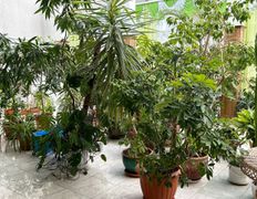 Санаторий Магистральный, Досуг - фото 8