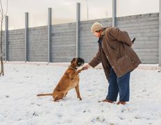 null Гостиница для животных с ветеринарными услугами, Галерея - фото 1
