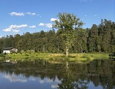 Хутор Кошки-мышки, Территория - фото 1