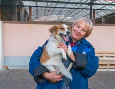 null Гостиница для животных с ветеринарными услугами, Интерьер - фото 16
