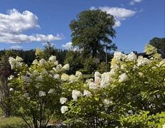 Хутор Кошки-мышки, Территория - фото 20