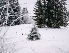 Загородный дом Вераги, Новый год - фото 14