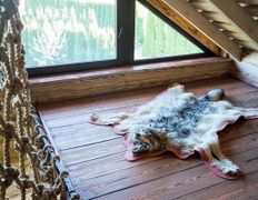 Загородный комплекс  Версаль, Камчатка - фото 6
