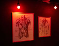 Игровые комнаты Гранж, RED ROOM - фото 12