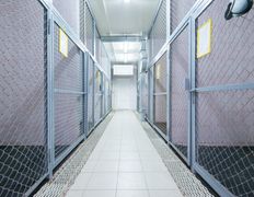 null Гостиница для животных с ветеринарными услугами, Интерьер - фото 17
