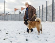 null Гостиница для животных с ветеринарными услугами, Галерея - фото 5