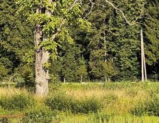 Хутор Кошки-мышки, Территория - фото 3