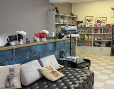 Студия груминга Dog and Cat (Дог энд Кэт), Галерея - фото 7