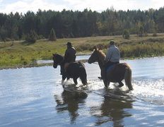Центр верховой езды Двор Старинки, Прокат - фото 10