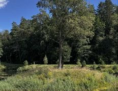 Хутор Кошки-мышки, Территория - фото 13