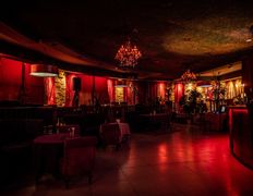 Кафе Jungle Lounge Cafe (Джангл Лаунж Кафе), Интерьер - фото 8