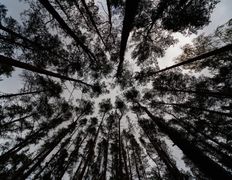 Санаторий Пралеска, Экстерьер  - фото 3