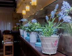 Культурно-развлекательный центр Family Сlub (Семейный клуб), Интерьер - фото 17