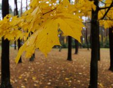 Санаторий Пралеска, Экстерьер  - фото 15