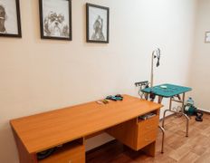 null Гостиница для животных с ветеринарными услугами, Галерея - фото 2