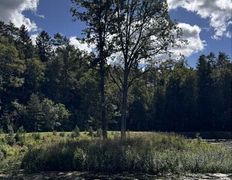 Хутор Кошки-мышки, Территория - фото 19