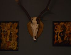 Магазин-клуб настольных игр Место путешествия, Детективное бюро - фото 19