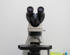 Ветеринарная клиника NAN Animal Clinic (НАН Энимал Клиник), Галерея - фото 17